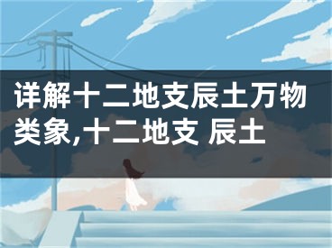 详解十二地支辰土万物类象,十二地支 辰土