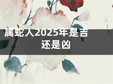 属蛇人2025年是吉还是凶