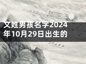 文姓男孩名字2024年10月29日出生的