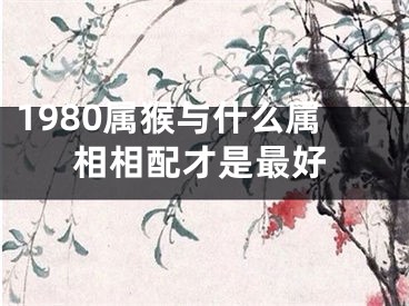 1980属猴与什么属相相配才是最好