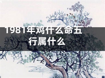 1981年鸡什么命五行属什么 