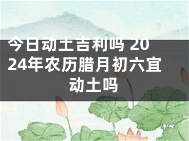 今日动土吉利吗 2024年农历腊月初六宜动土吗