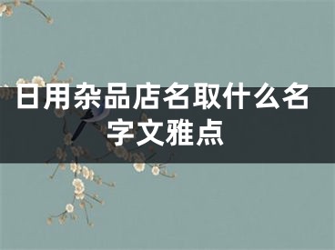 日用杂品店名取什么名字文雅点