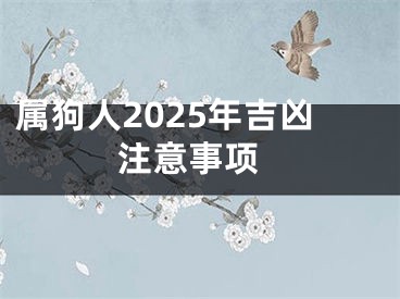 属狗人2025年吉凶 注意事项