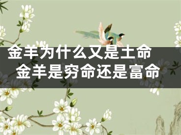 金羊为什么又是土命 金羊是穷命还是富命