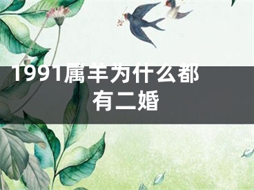 1991属羊为什么都有二婚