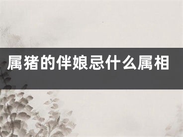 属猪的伴娘忌什么属相
