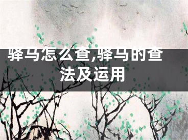 驿马怎么查,驿马的查法及运用