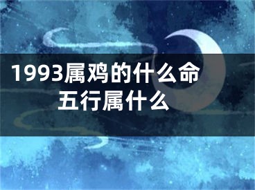 1993属鸡的什么命五行属什么 