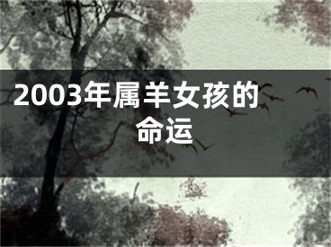 2003年属羊女孩的命运