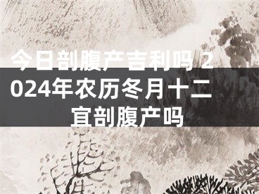 今日剖腹产吉利吗 2024年农历冬月十二宜剖腹产吗