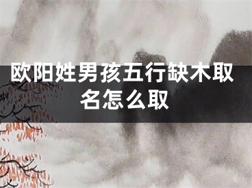 欧阳姓男孩五行缺木取名怎么取