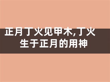正月丁火见甲木,丁火生于正月的用神