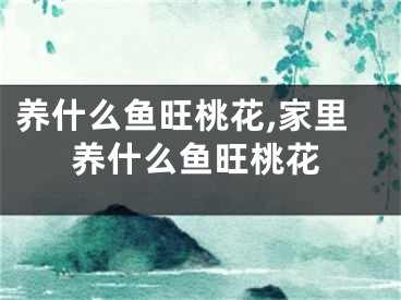 养什么鱼旺桃花,家里养什么鱼旺桃花