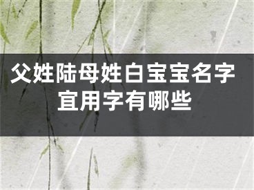 父姓陆母姓白宝宝名字宜用字有哪些