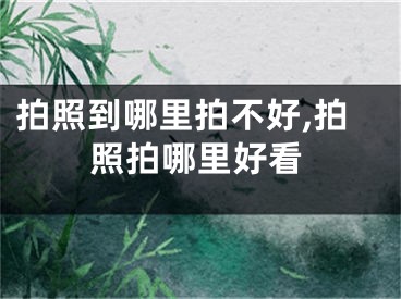 拍照到哪里拍不好,拍照拍哪里好看