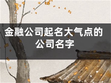 金融公司起名大气点的公司名字
