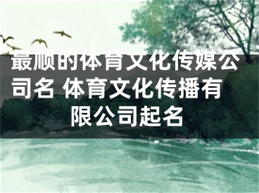 最顺的体育文化传媒公司名 体育文化传播有限公司起名