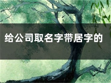 给公司取名字带居字的