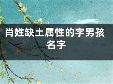 肖姓缺土属性的字男孩名字
