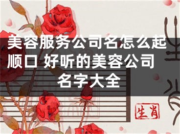 美容服务公司名怎么起顺口 好听的美容公司名字大全