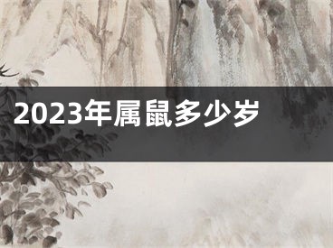 2023年属鼠多少岁