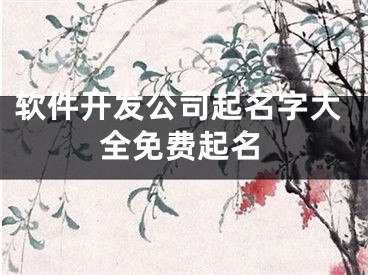 软件开发公司起名字大全免费起名