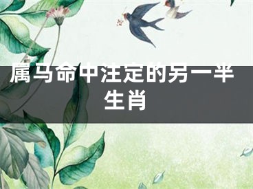 属马命中注定的另一半生肖