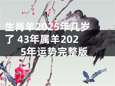 生肖羊2025年几岁了 43年属羊2025年运势完整版
