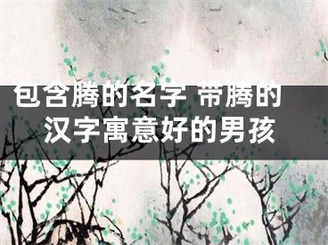 包含腾的名字 带腾的汉字寓意好的男孩