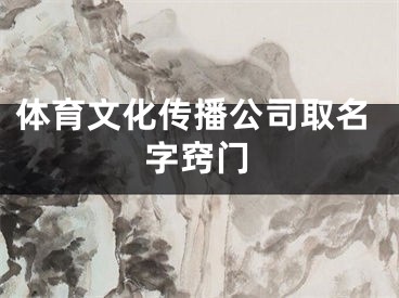 体育文化传播公司取名字窍门