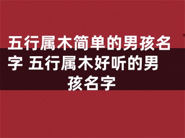 五行属木简单的男孩名字 五行属木好听的男孩名字