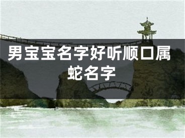 男宝宝名字好听顺口属蛇名字