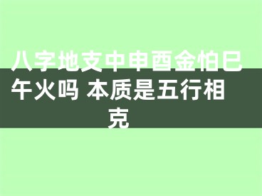 八字地支中申酉金怕巳午火吗 本质是五行相克 