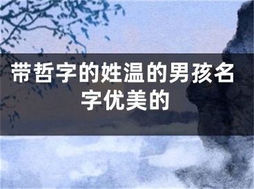 带哲字的姓温的男孩名字优美的