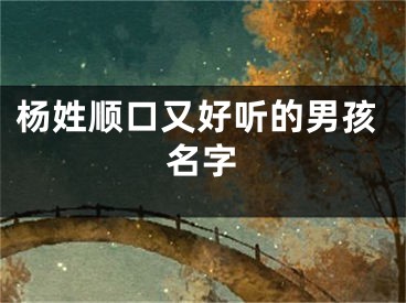杨姓顺口又好听的男孩名字
