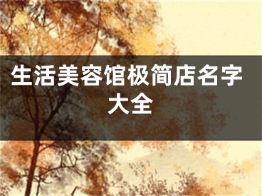 生活美容馆极简店名字大全