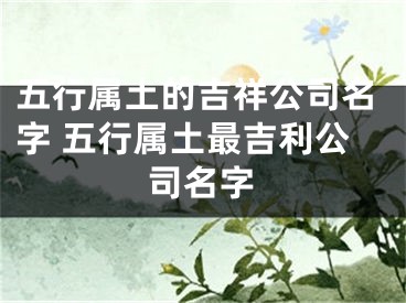 五行属土的吉祥公司名字 五行属土最吉利公司名字
