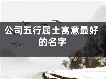 公司五行属土寓意最好的名字