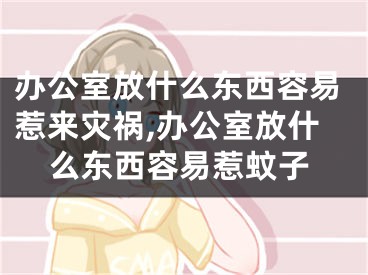 办公室放什么东西容易惹来灾祸,办公室放什么东西容易惹蚊子