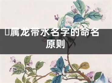 ​属龙带水名字的命名原则