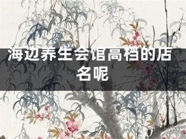 海边养生会馆高档的店名呢