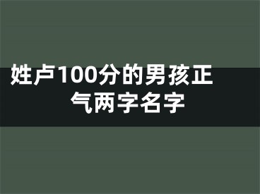 姓卢100分的男孩正气两字名字