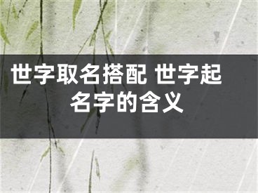 世字取名搭配 世字起名字的含义