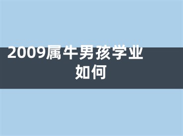 2009属牛男孩学业如何