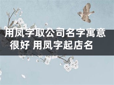 用凤字取公司名字寓意很好 用凤字起店名