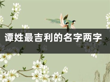 谭姓最吉利的名字两字
