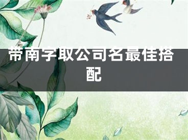 带南字取公司名最佳搭配