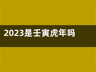 2023是壬寅虎年吗