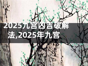 2025九宫凶吉破解法,2025年九宫